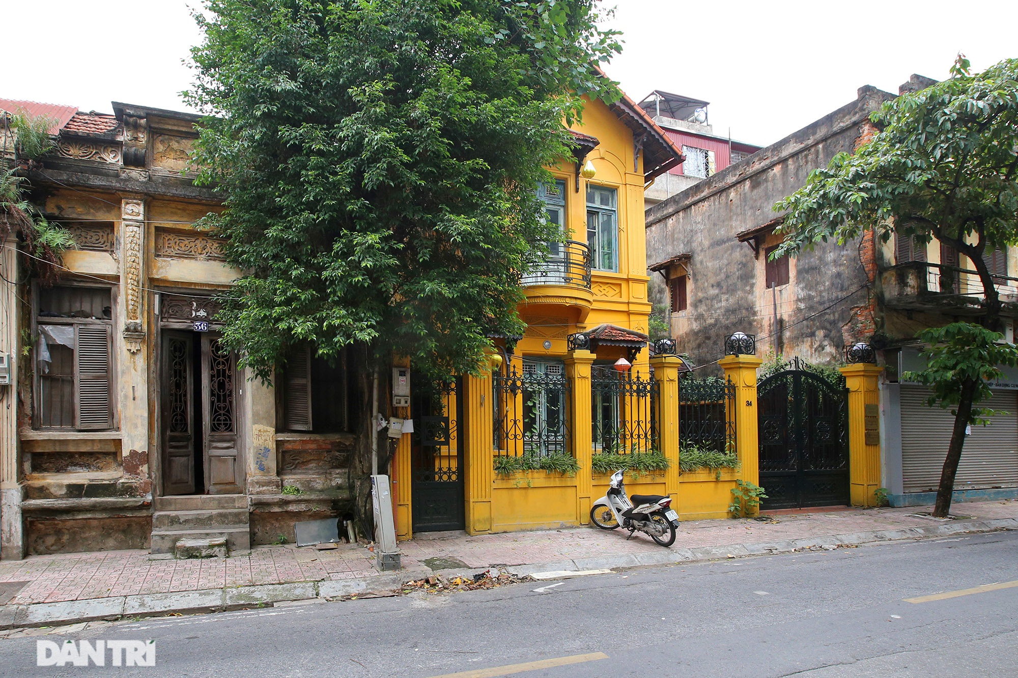 Những căn biệt thự trên phố Châu Long.