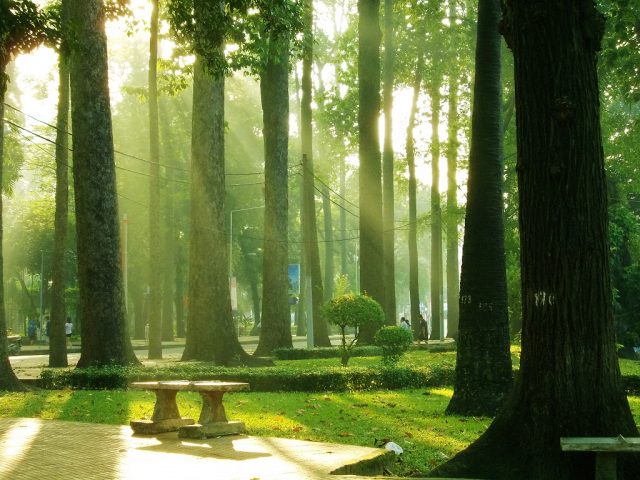 Khuôn viên xanh trong công viên Tao Đàn