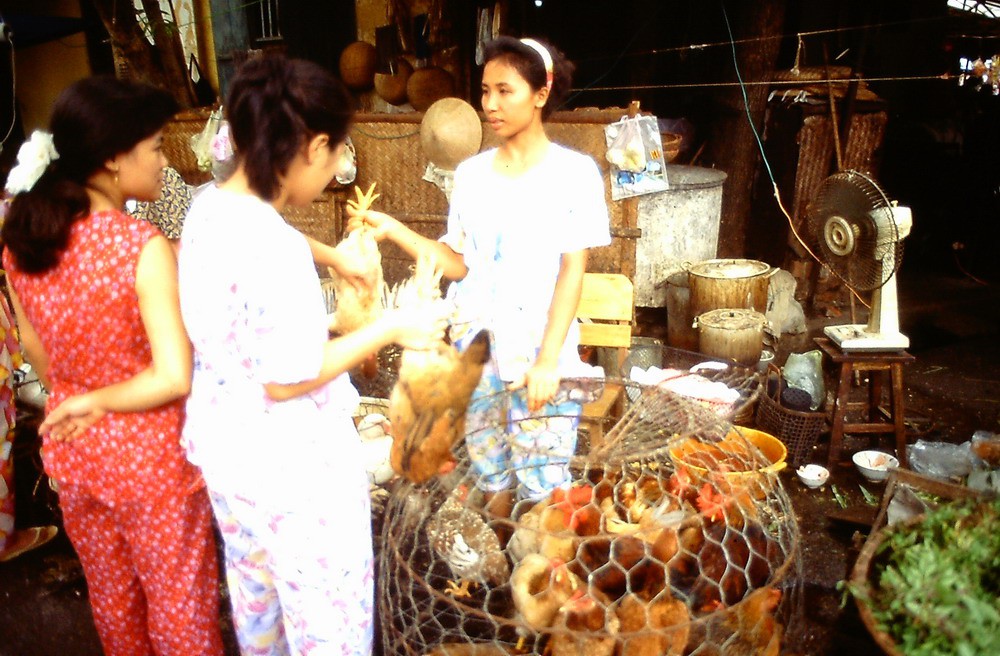 Chợ cóc ở phố cổ Hà Nội.