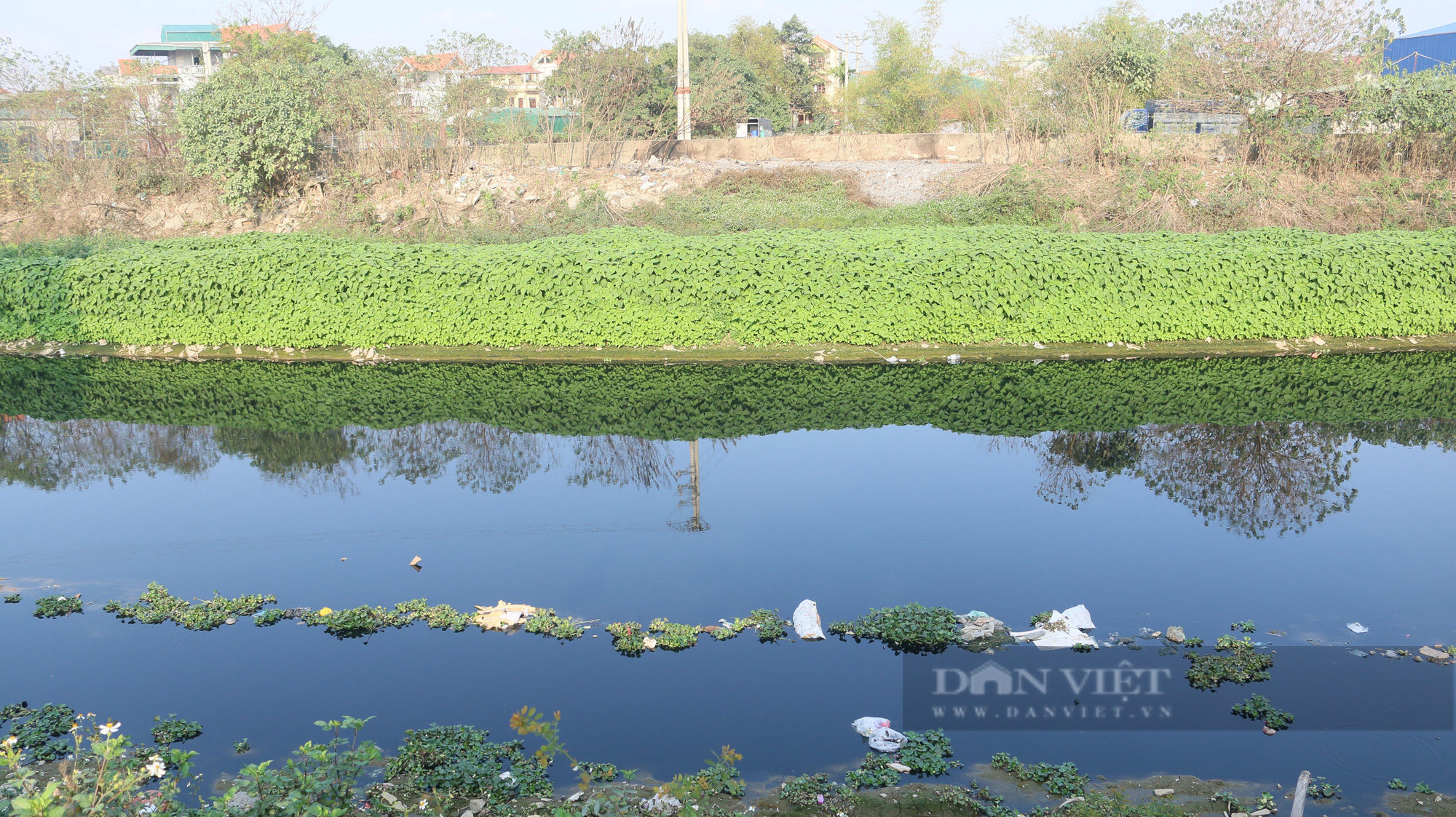 Dòng sông Nhuệ bị ô nhiễm gây nhiều hệ lụy đối với người dân Siêu Quần